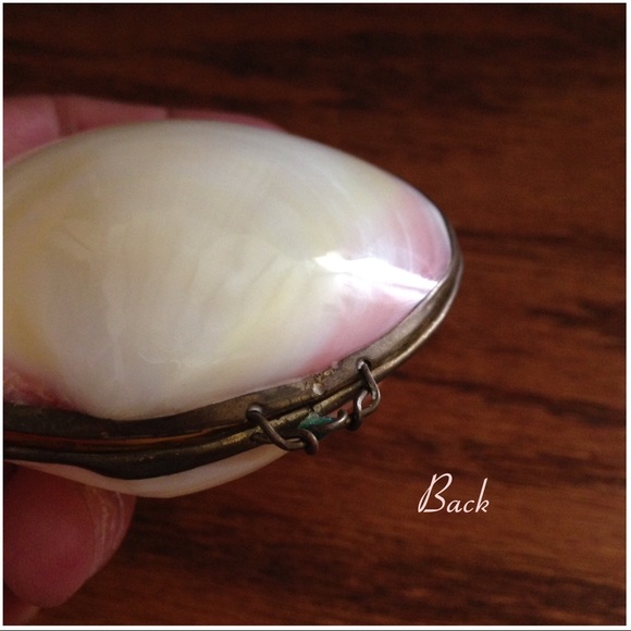 Pretty SHELL Latching Container🌿 - Picture 2 of 4